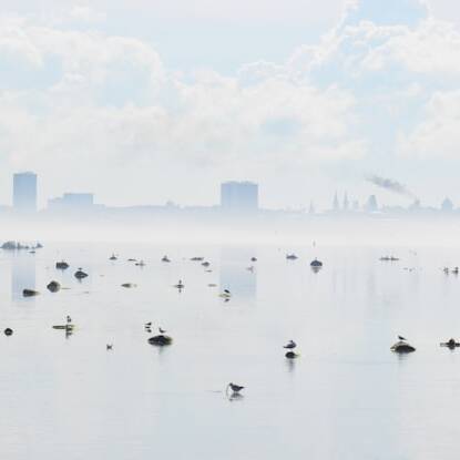 **Günstige Flüge: Berlin nach Riga, Vilnius & Tallinn ab 68€**