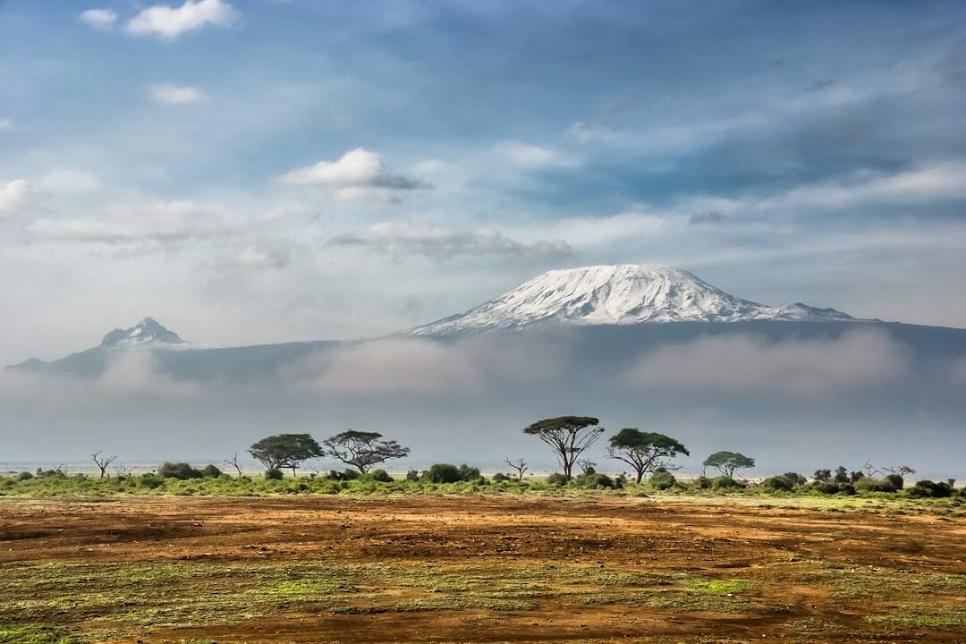 Kenia-Flüge ab Zürich für 452€ mit Turkish Airlines (2x Gepäck)