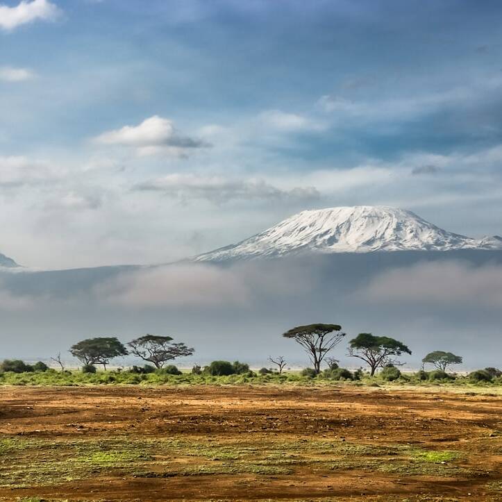 Kenia-Flüge ab Zürich für 452€ mit Turkish Airlines (2x Gepäck)