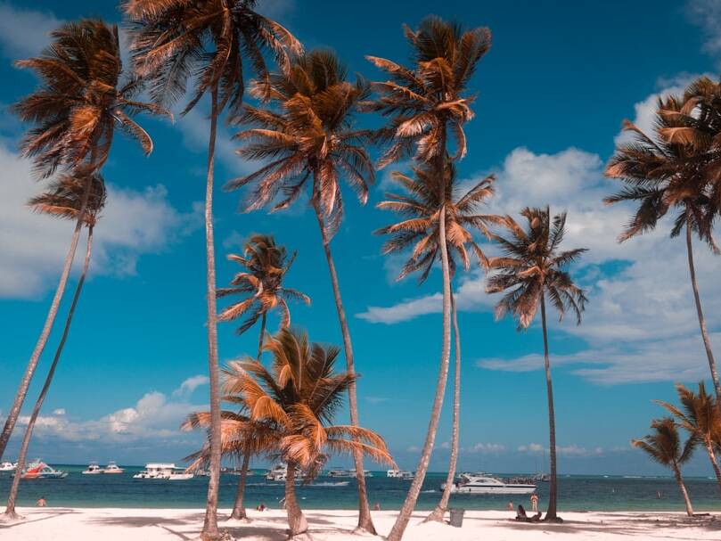 Punta Cana: Luxusflüge ab 1.776€ mit Discover Airlines & Edelweiss