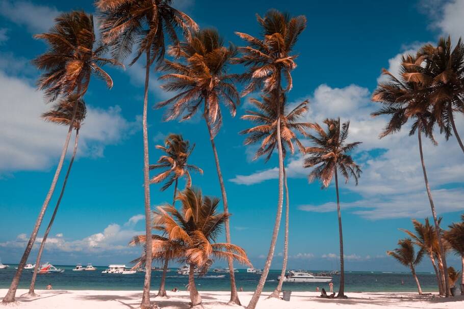 Punta Cana: Luxusflüge ab 1.776€ mit Discover Airlines & Edelweiss