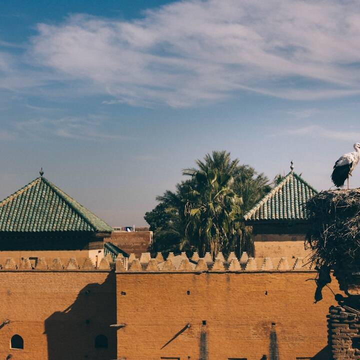 12 Nächte Kanaren und Marokko ab Barcelona: Kreuzfahrt ab 947€