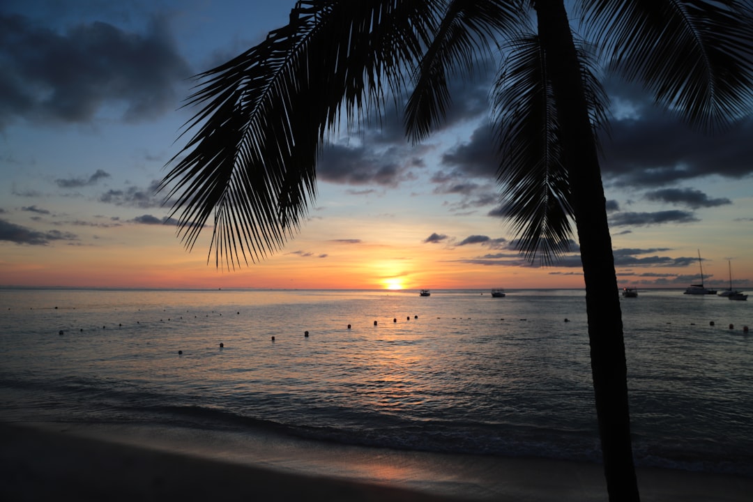 Barbados Last Minute: Ab 460€ mit Condor ab Frankfurt