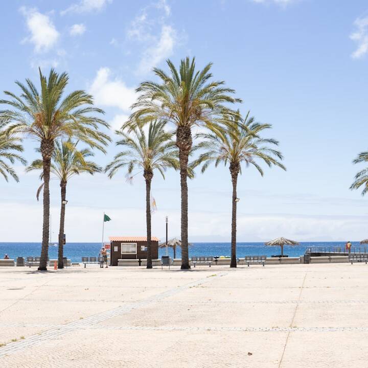 Madeira: 1 Woche im TUI Blue inkl. Flug & Frühstück ab 524€