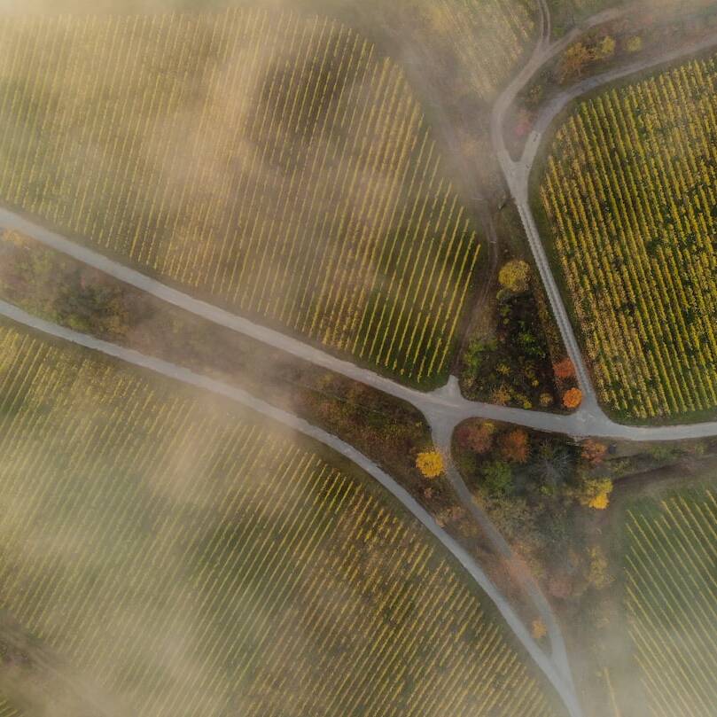 Entspannungsurlaub im Kaisergarten Deidesheim ab 164€ inkl. Frühstück