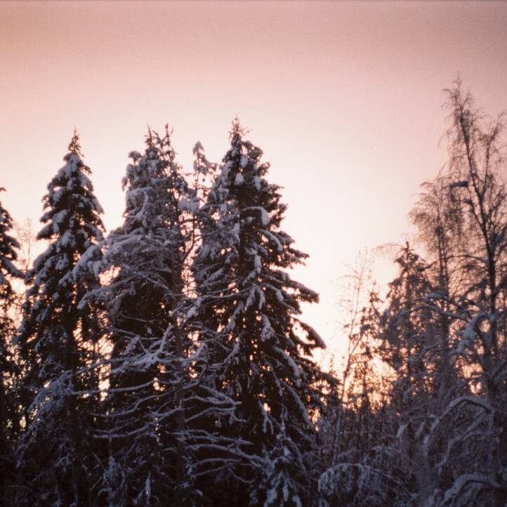 Günstig nach Lappland: Direktflüge ab Hamburg für 90€