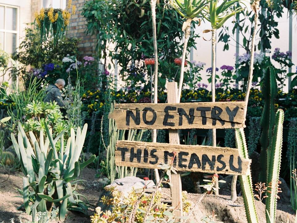 Norwegian Sun: 15-Nächte Kreuzfahrt Auckland-Melbourne ab 1.175€