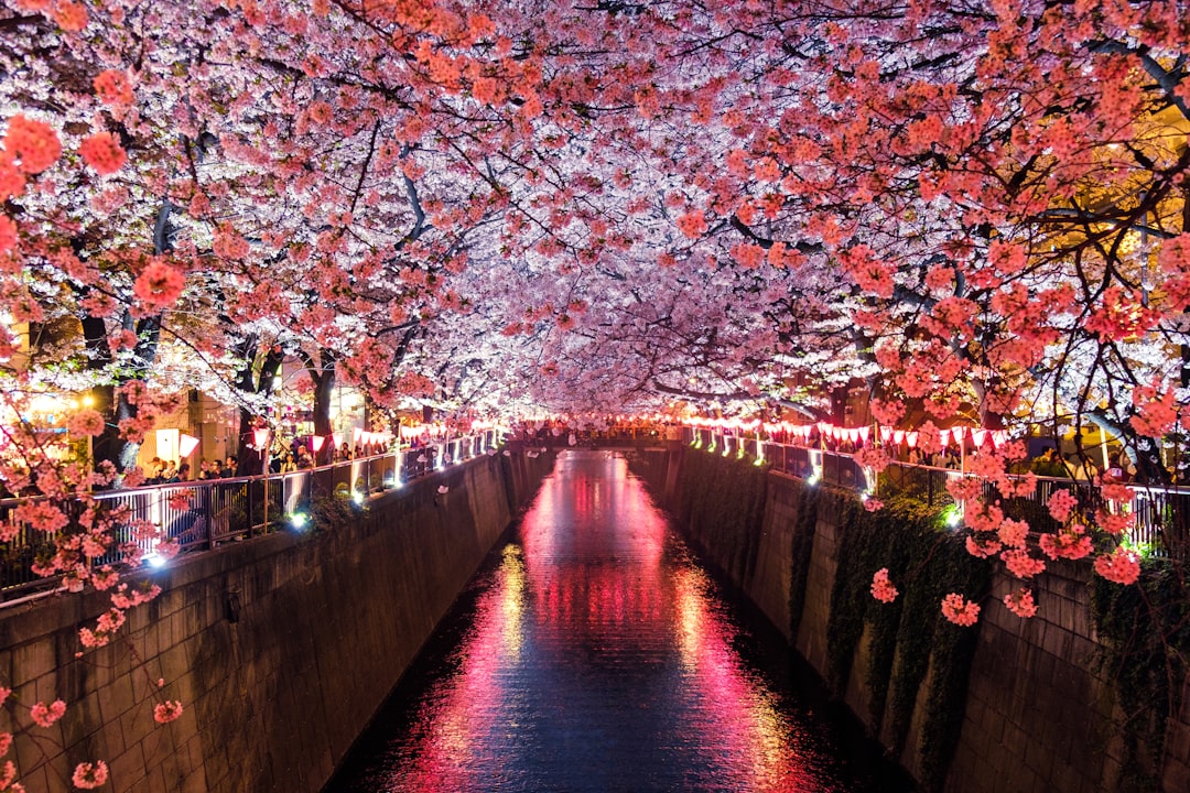 Premium Economy: Budapest nach Japan & Südkorea ab 738€