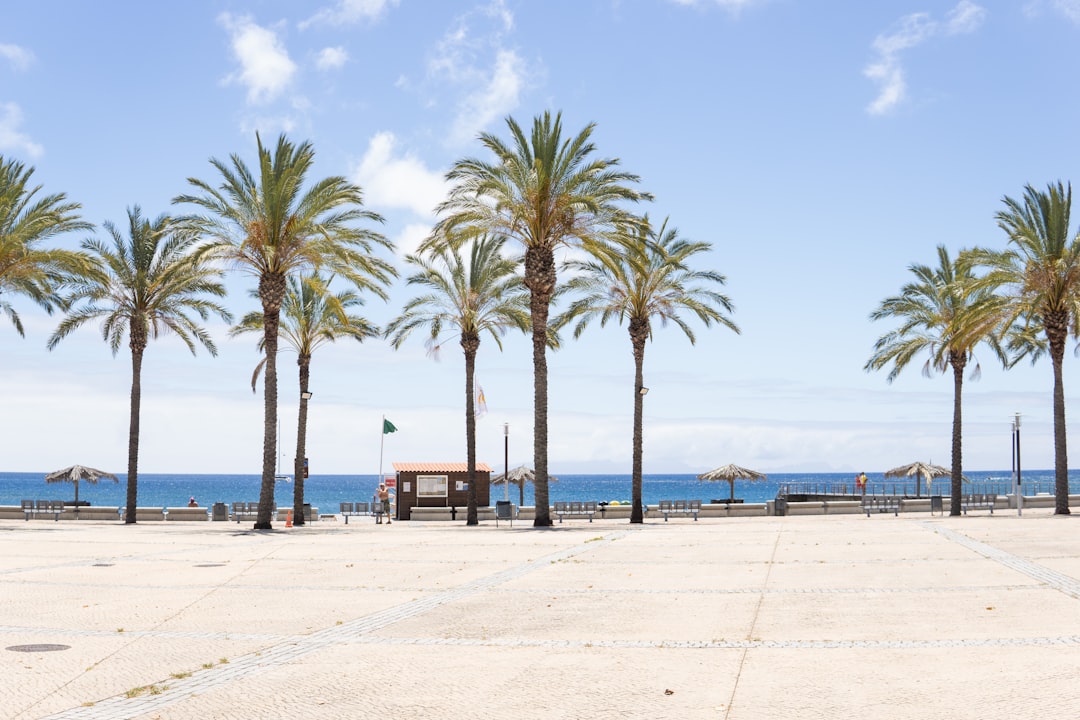 7 Tage im Riu Madeira: All-Incl. & Flüge ab 814€ p.P.