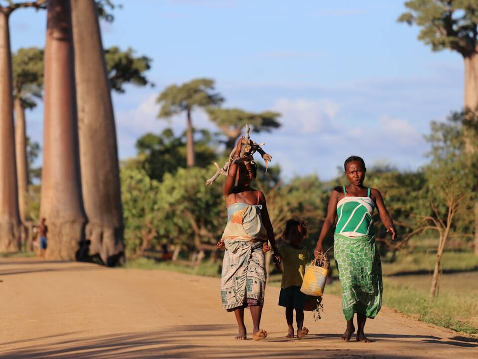 Luxusreise nach Madagaskar: Flüge ab 1.661€ mit Kenya Airways