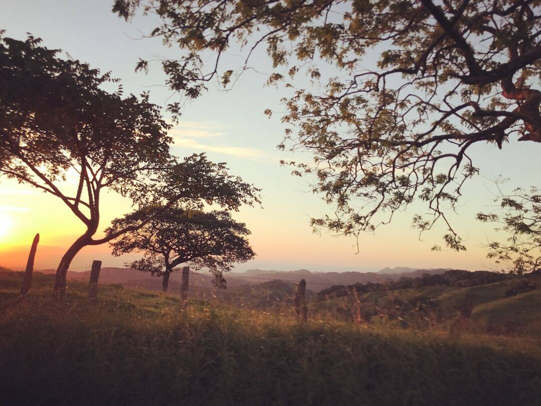 Reisehighlights: Lounge-Zugang & Beinfreiheit nach Costa Rica