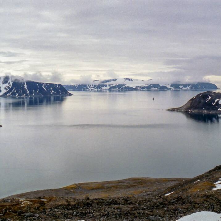 Günstige SAS-Flüge nach Spitzbergen ab 173€ inkl. Handgepäck