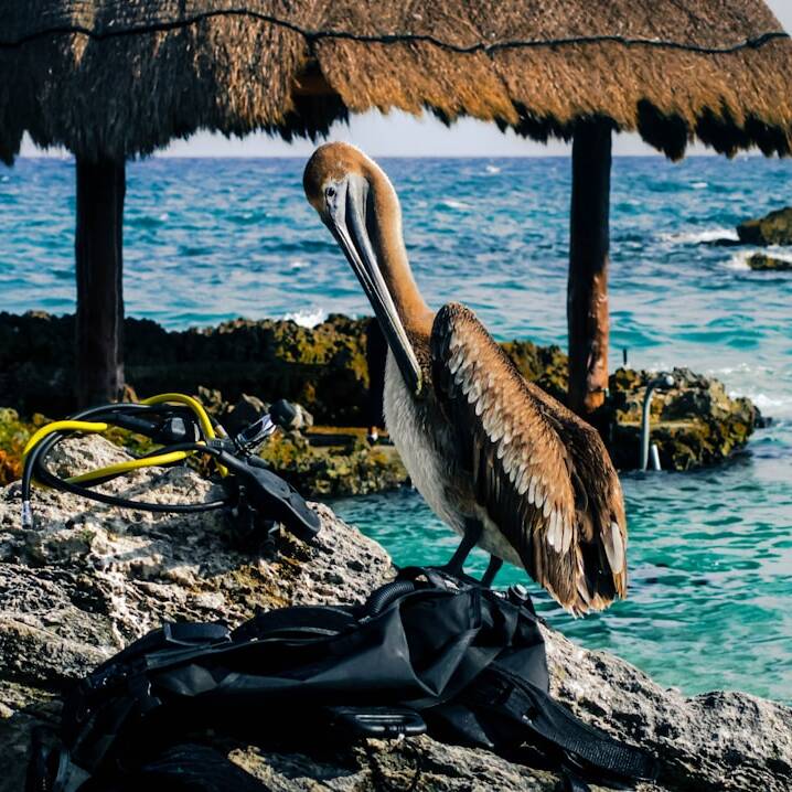 Luxuriös nach Cancun: Air Europa Business Class ab 1.402€