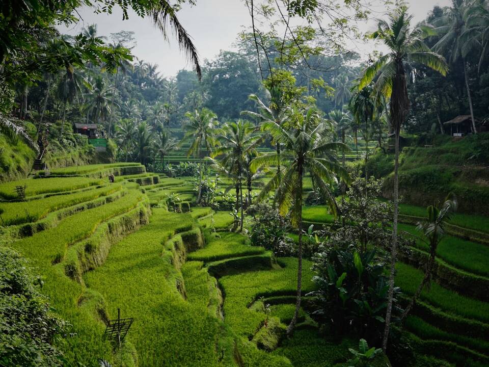 Exotische Inseln & Zugabenteuer: Der Wochenrückblick