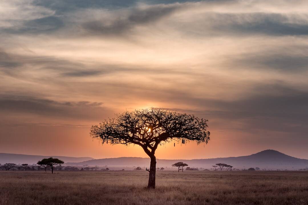 Serengeti Park 2025: Gratis Eintritt für Kinder sichern!