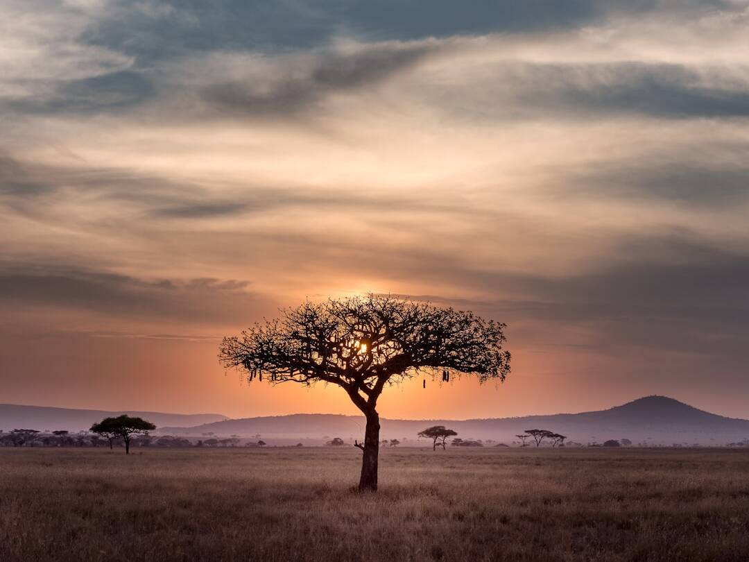 Serengeti Park 2025: Gratis Eintritt für Kinder sichern!
