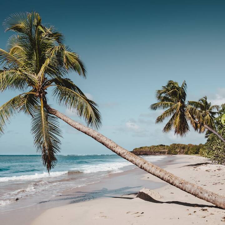 Luxusflüge ab Paris nach Martinique & Guadeloupe ab 1.433€