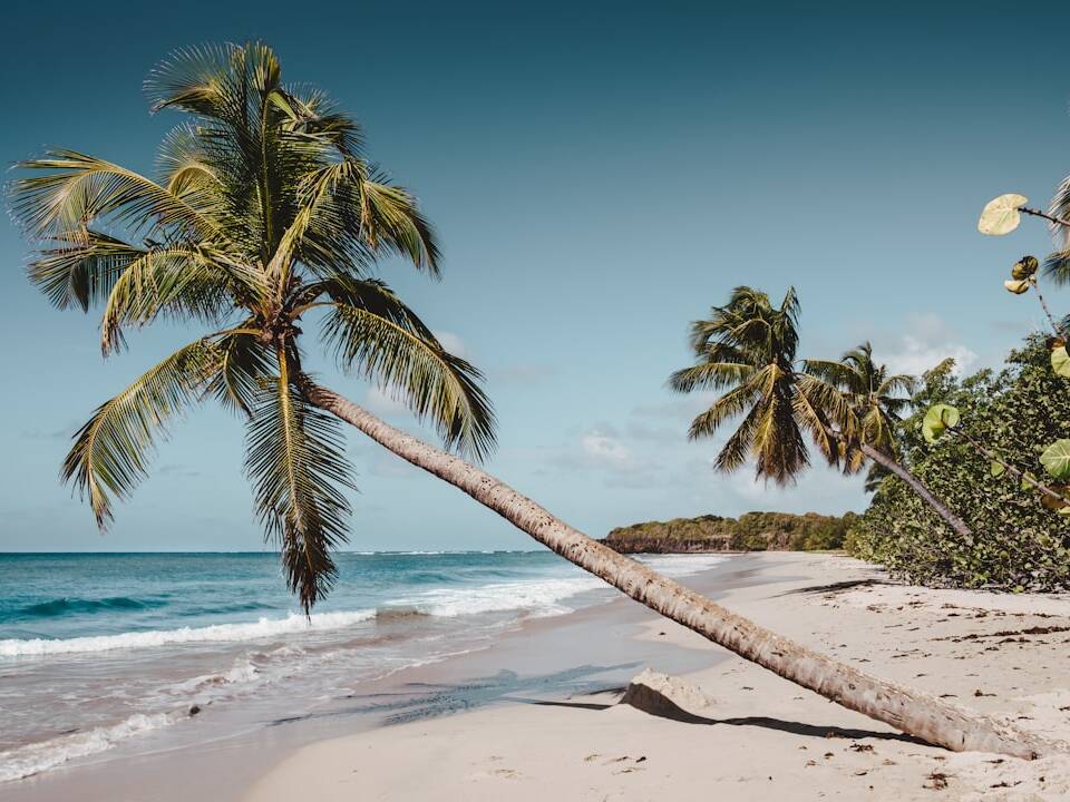 Luxusflüge ab Paris nach Martinique & Guadeloupe ab 1.433€