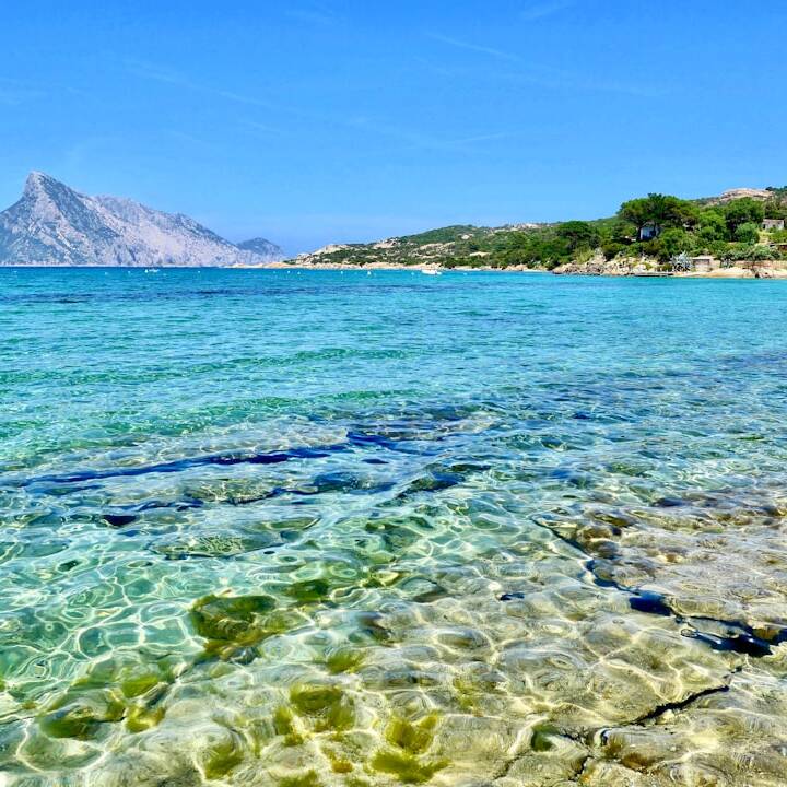 Luxuriös nach Olbia: Business Class ab Düsseldorf 214€