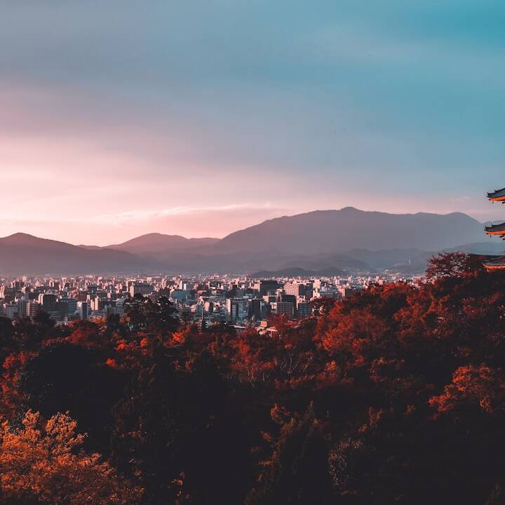 Wöchentliche Highlights: Japan, Indien und Ditmars Reiseerlebnisse