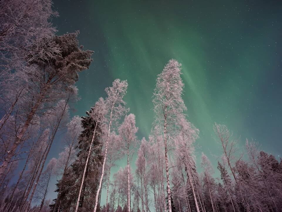 Günstig nach Lappland: Flüge ab 99€ von Düsseldorf/Berlin