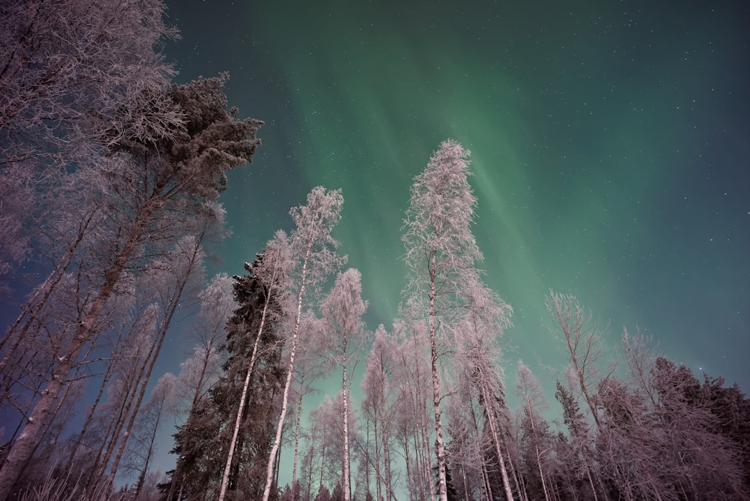Günstig nach Lappland: Flüge ab 99€ von Düsseldorf/Berlin