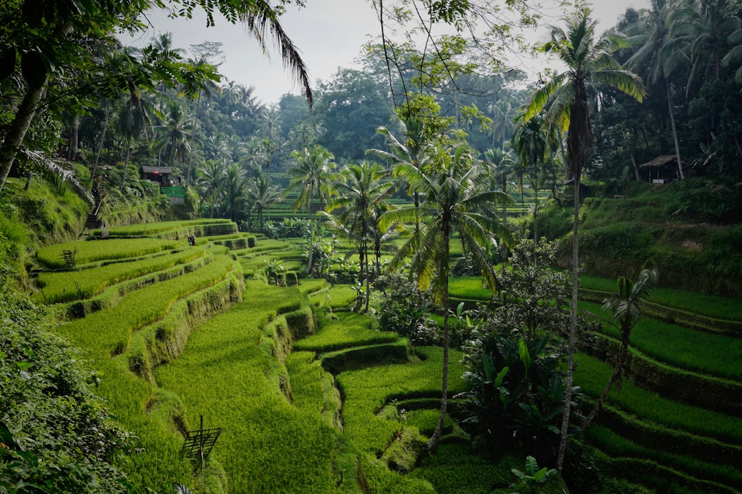 Günstige SkyTeam-Flüge von Schweiz nach Bali ab 535€