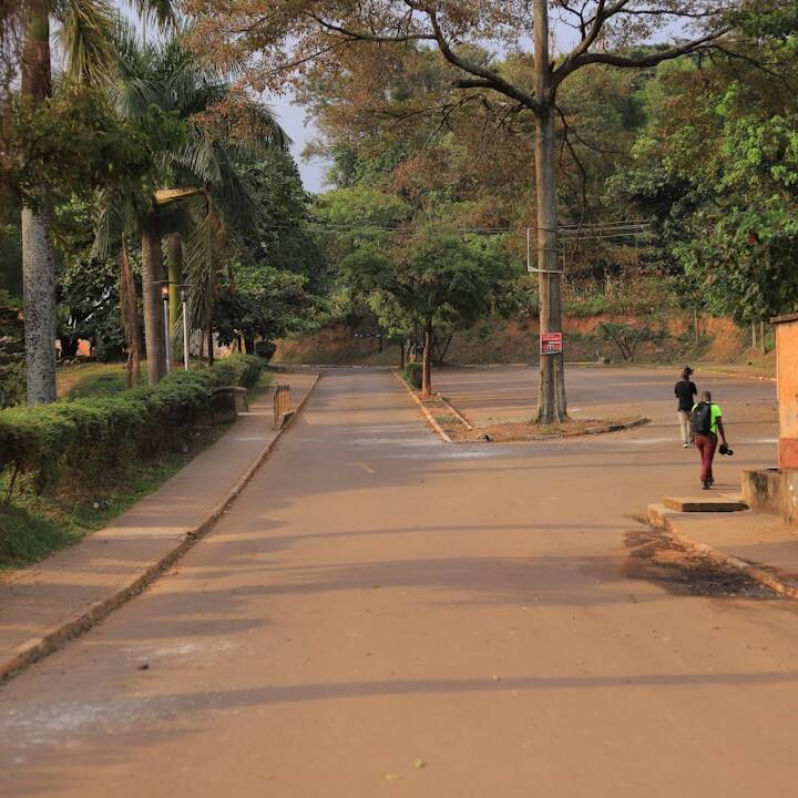 Luxuriös fliegen: Kenya Airways Business Class ab 1.050€