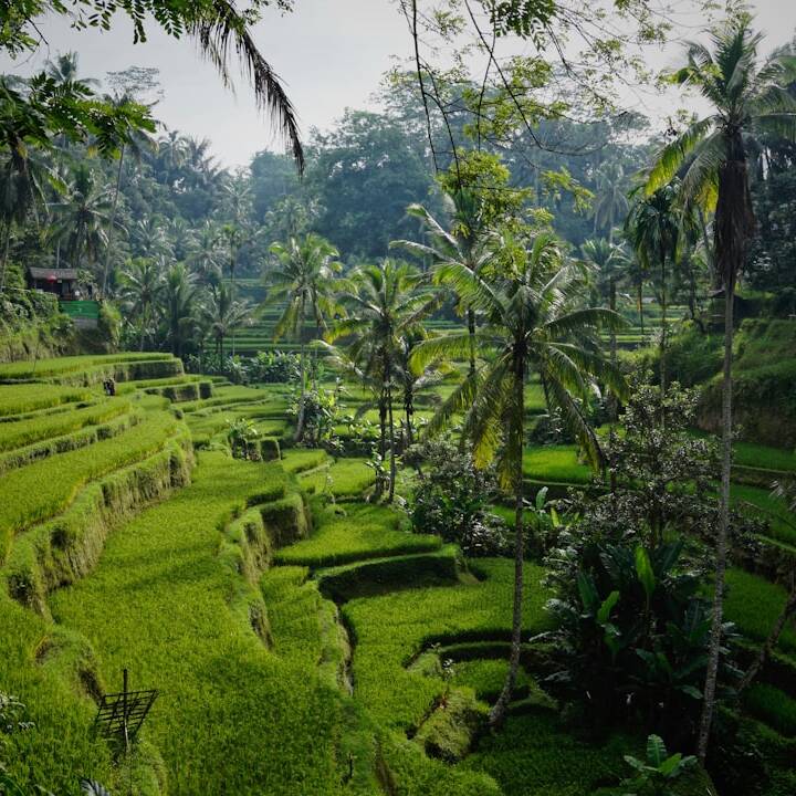 Luxusreise: Bali-Abu Dhabi Business Class ab 446€ return
