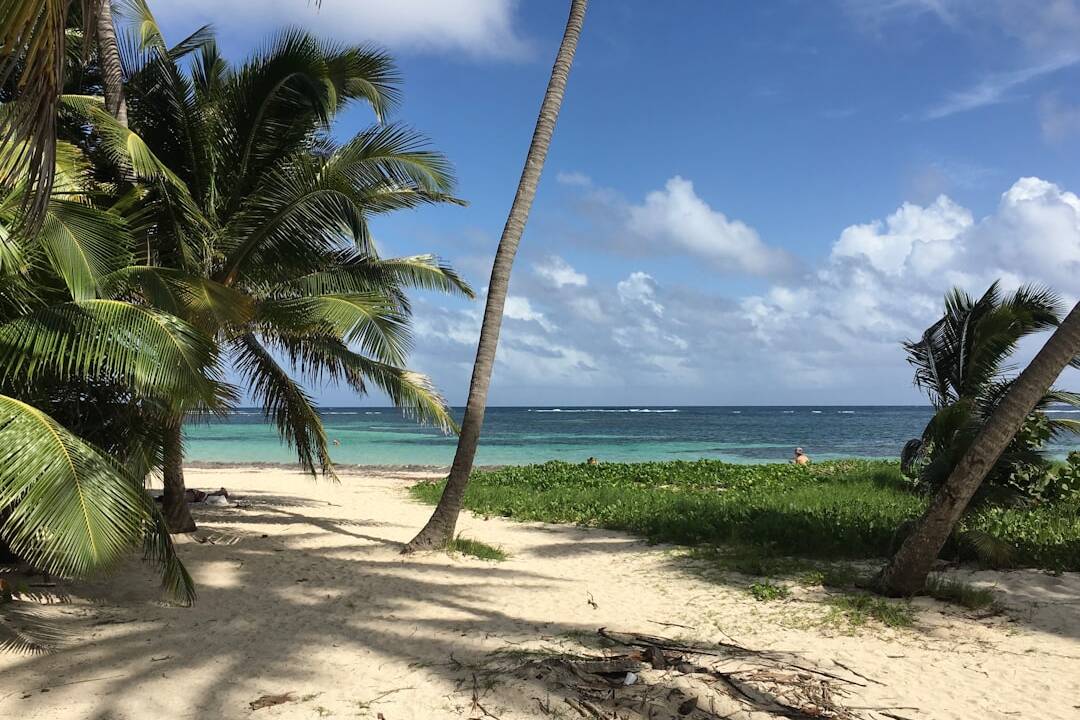 20 Nächte Kreuzfahrt Martinique-Hamburg inkl. Flug ab 1.999€